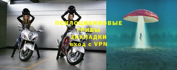 гашик Баксан