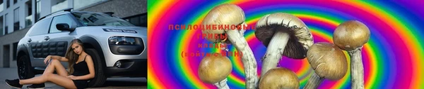 винт Балахна